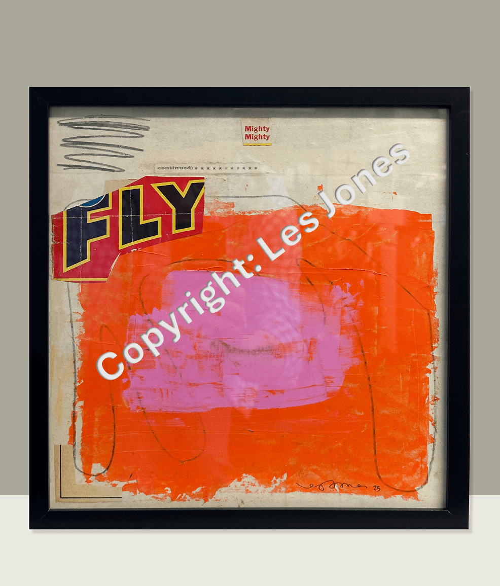 Fly